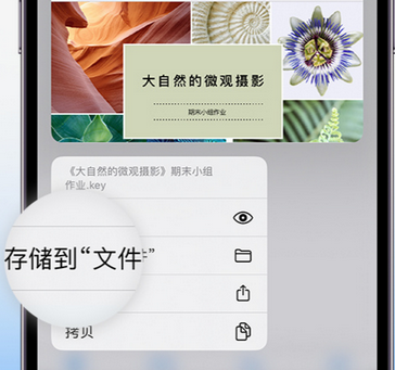 江北apple维修中心分享iPhone文件应用中存储和找到下载文件