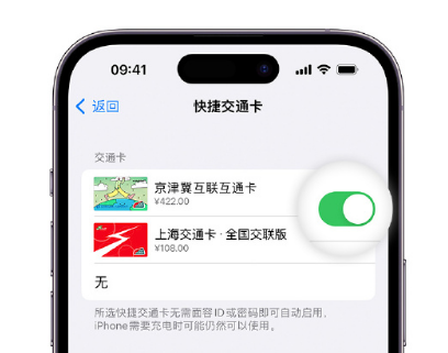 江北apple维修点分享iPhone上更换Apple Pay快捷交通卡手绘卡面 