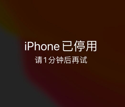 江北苹果手机维修分享:iPhone 显示“不可用”或“已停用”怎么办？还能保留数据吗？ 