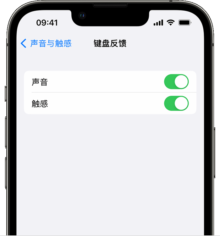 江北苹果14维修店分享如何在 iPhone 14 机型中使用触感键盘 