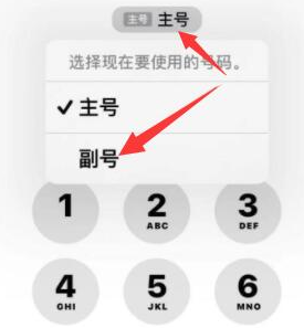 江北苹果14维修店分享iPhone 14 Pro Max使用副卡打电话的方法 