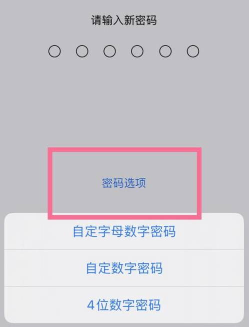 江北苹果14维修分享iPhone 14plus设置密码的方法 