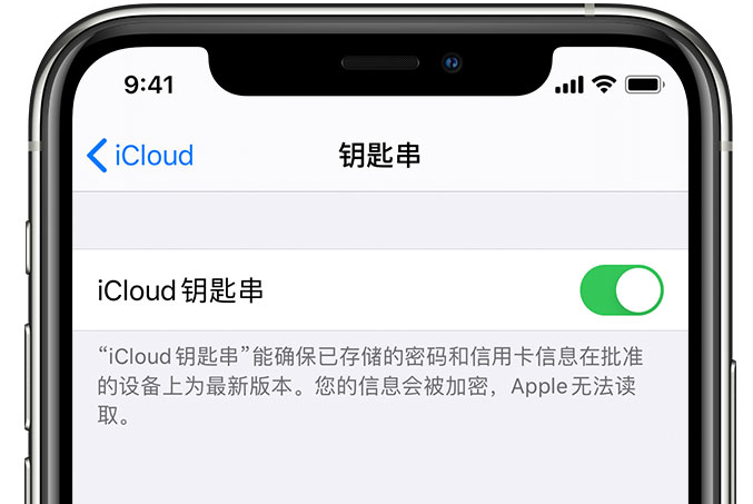 江北苹果手机维修分享在 iPhone 上开启 iCloud 钥匙串之后会储存哪些信息 