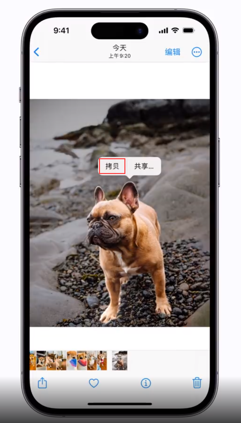 江北苹果手机维修分享 iOS 16 自带一键抠图功能 
