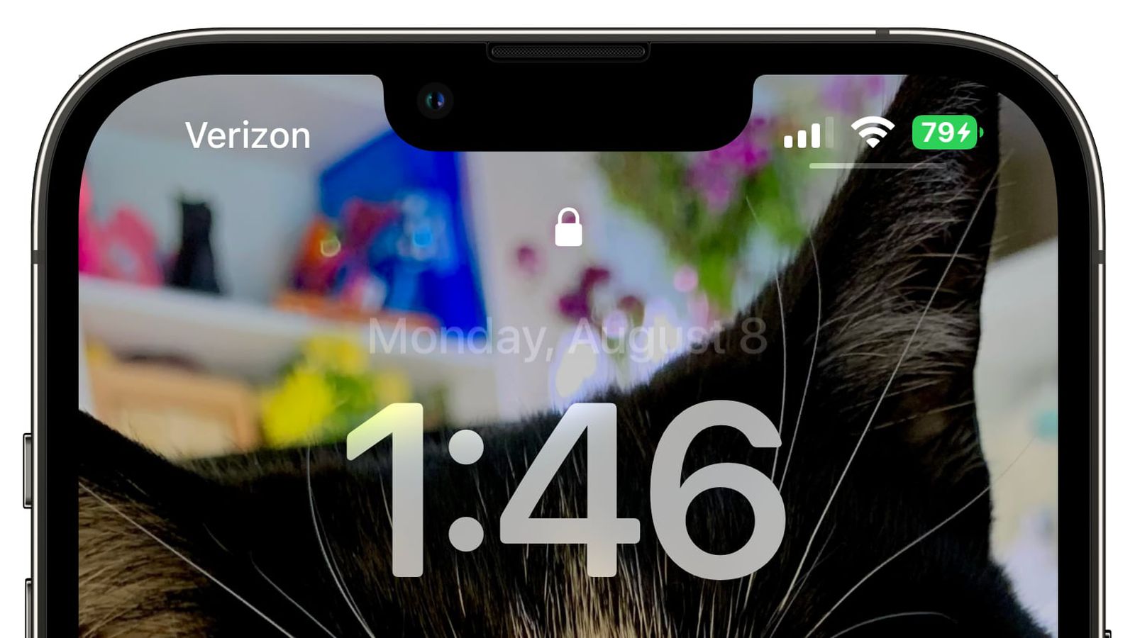 江北苹果手机维修分享iOS 16 beta 5 支持状态栏显示电池百分比，如何开启？支持哪些机型 
