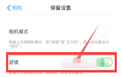 江北苹果13维修分享iPhone13拍照有绿点是怎么回事 
