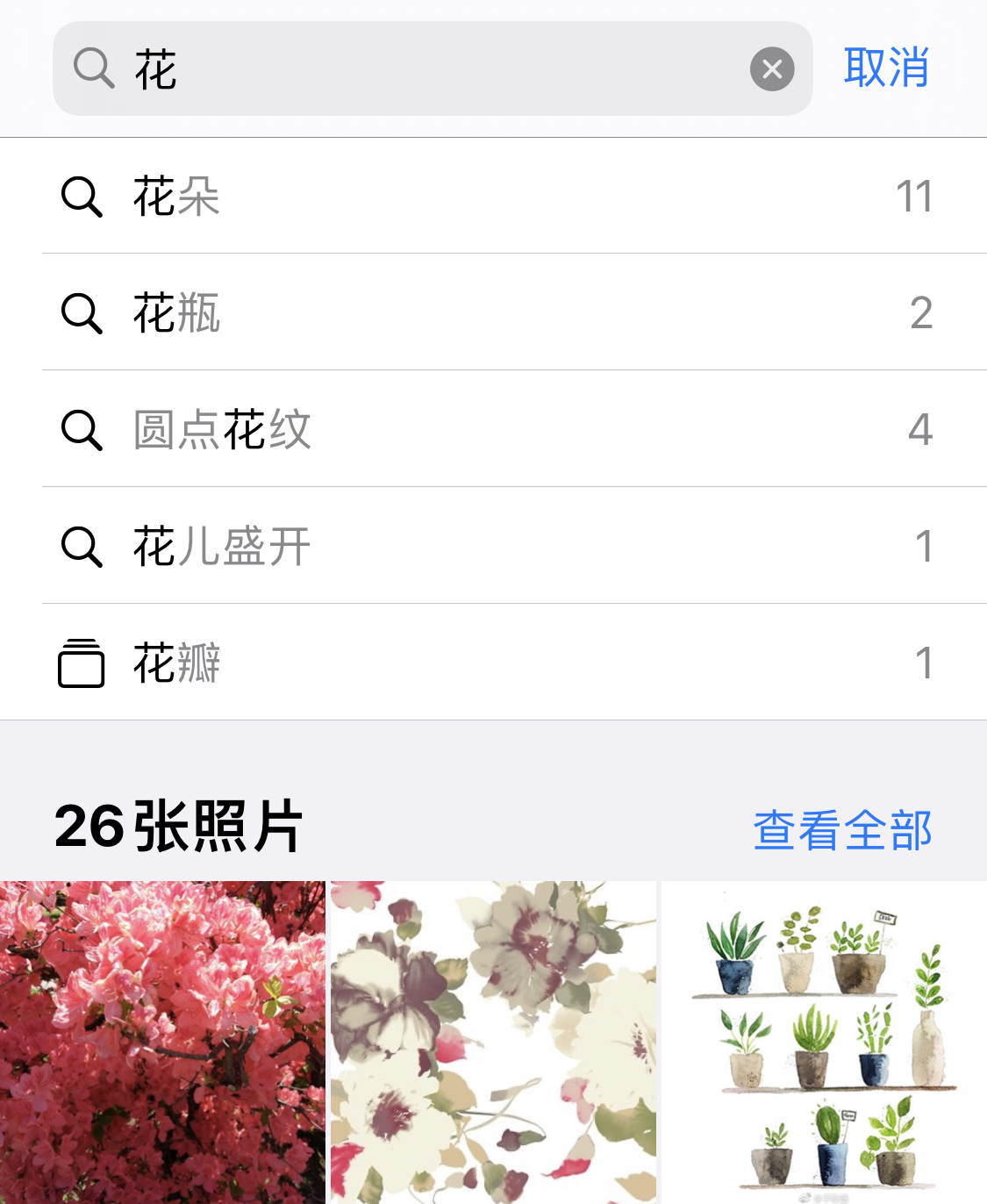 江北苹果手机维修分享iPhone 小技巧 