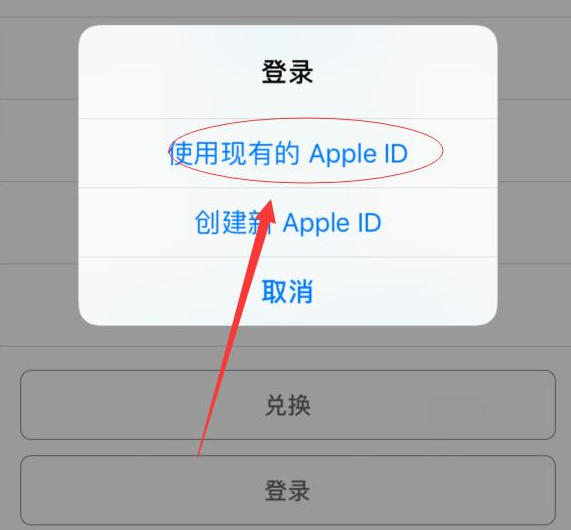 江北苹果手机维修分享两台iPhone设备可以同时登录一个Apple ID吗 