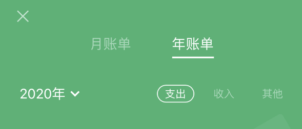 江北苹果手机维修分享如何在 iPhone 上查看支付宝和微信年支出账单 